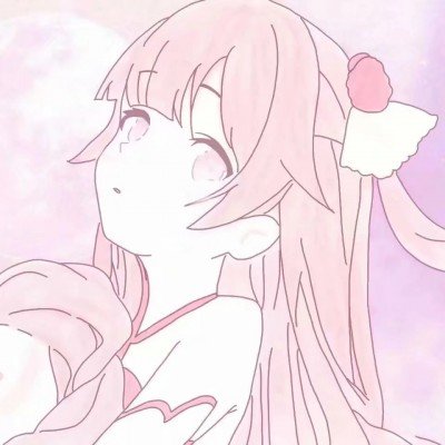 美国第一夫人声明